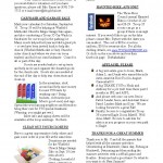 Troopscoop2011August_Page_4