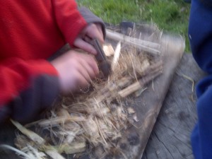 IMG-20120421-00149
