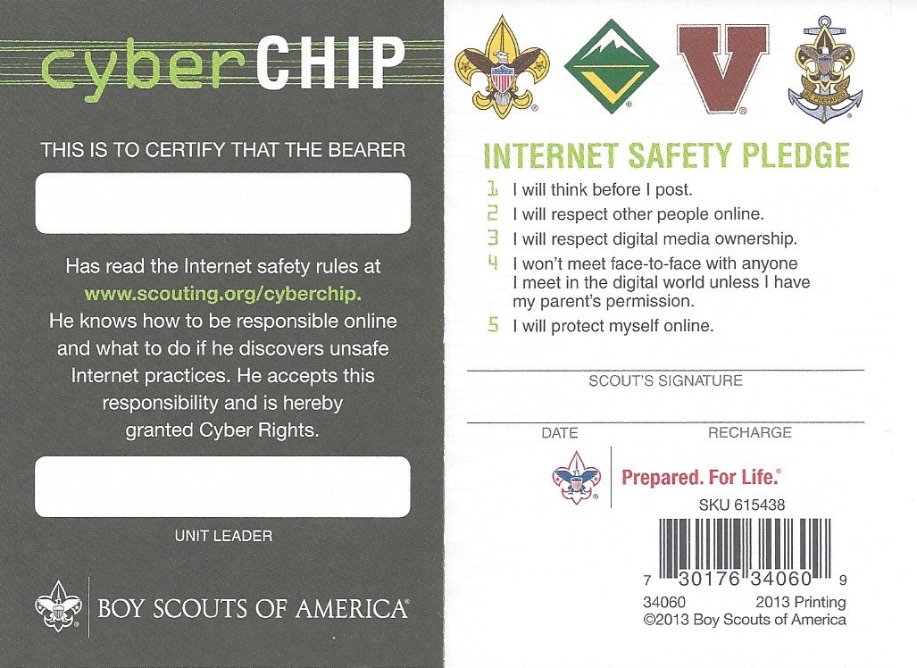 Bsa Cyber Chip Green Card Printable Printable Templates Bsa Cyber Chip Green Card Printable Printable Templates